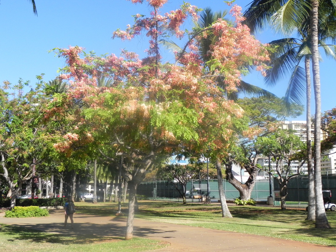 德吕西堡沙滩公园-火奴鲁鲁必去景点