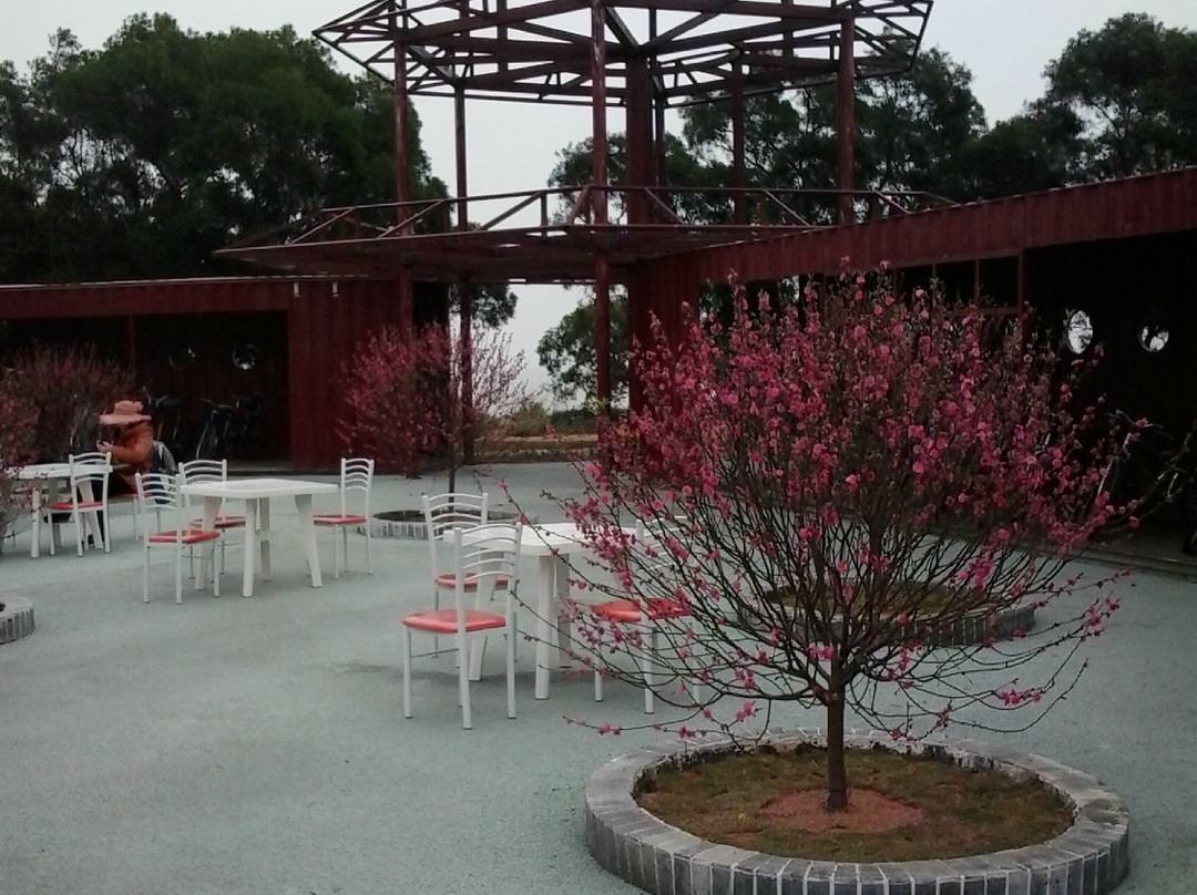 白石街-珠海市必去景点