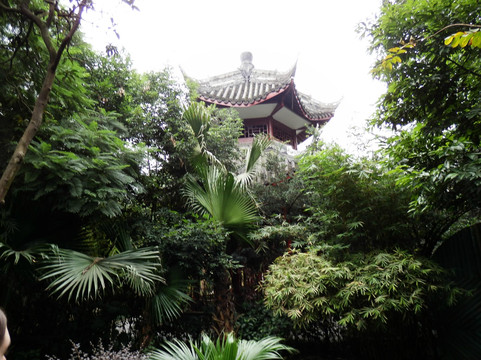 北湖公园-成都必去景点