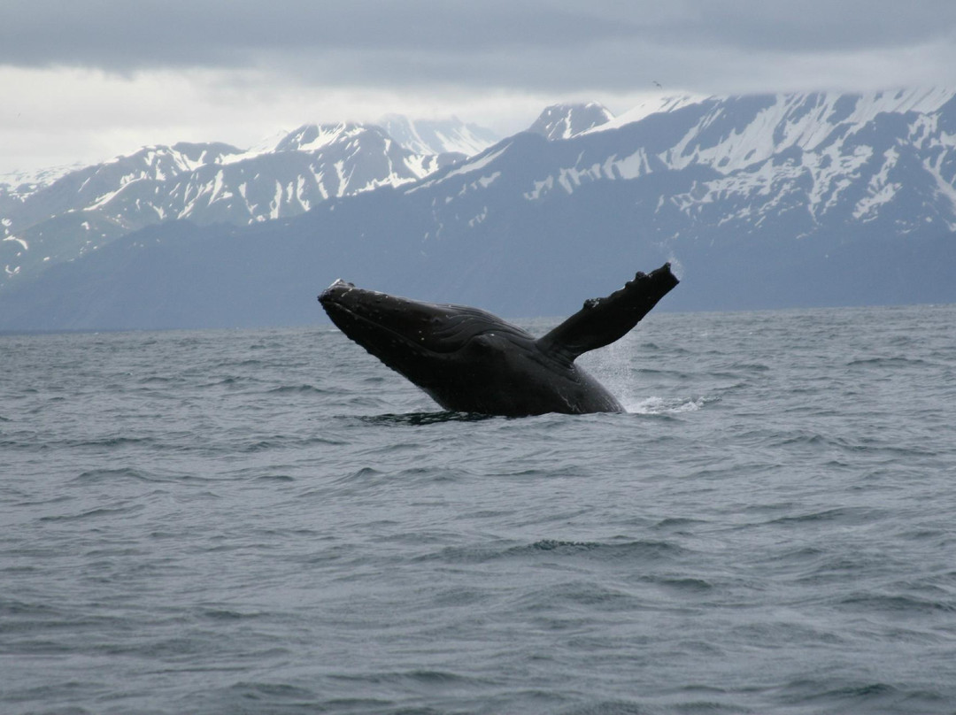 Aurora Charters-苏厄德必去景点