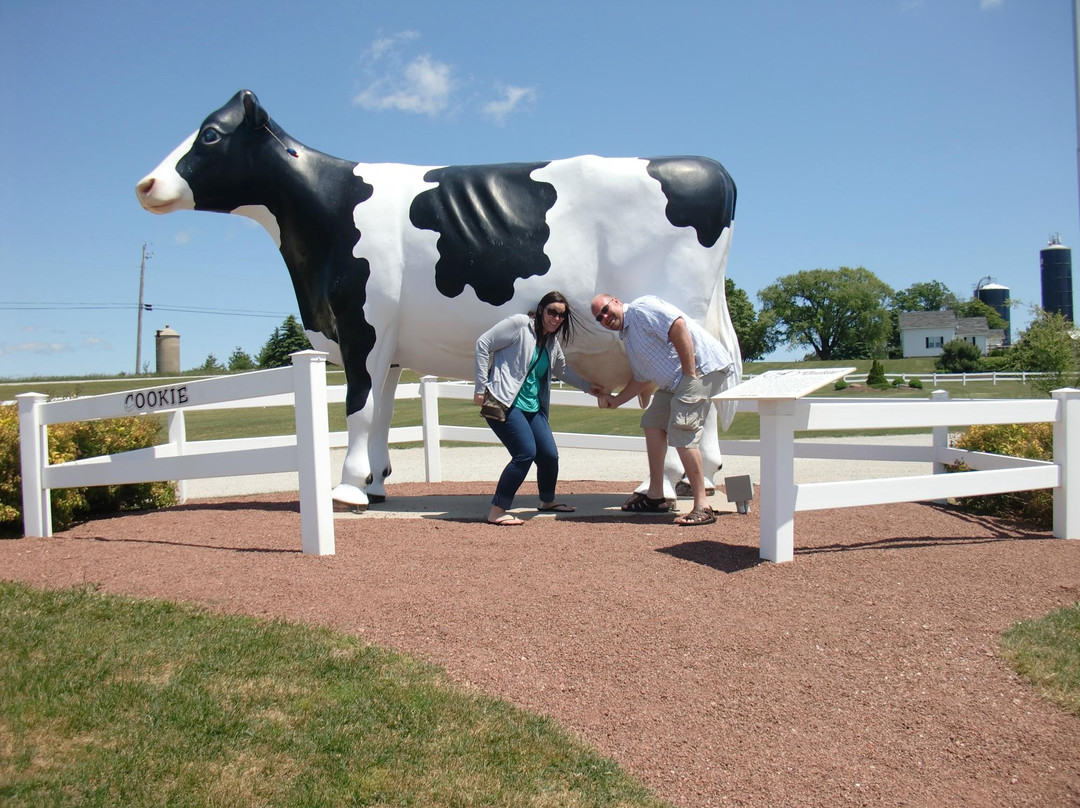 Dairy View-斯特金贝必去景点