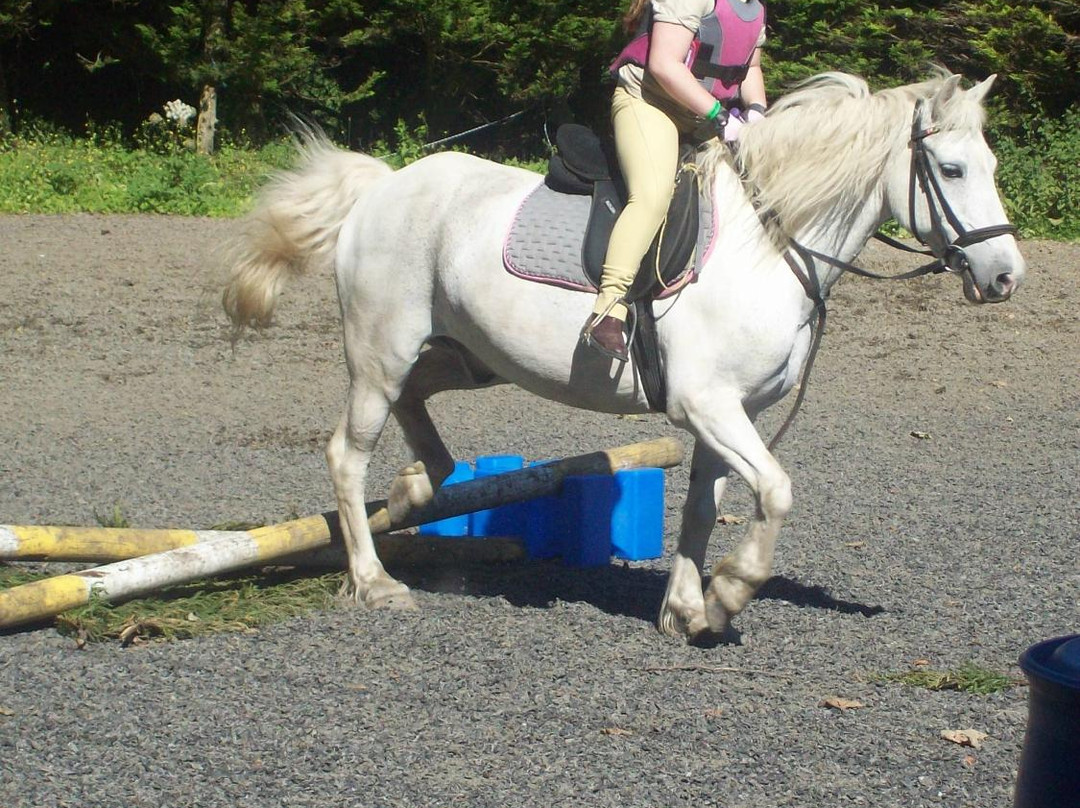 Bantry Pony Trekking景点图片