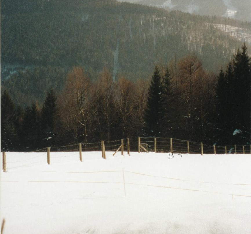 Foedinger Alm-Weyregg am Attersee必去景点