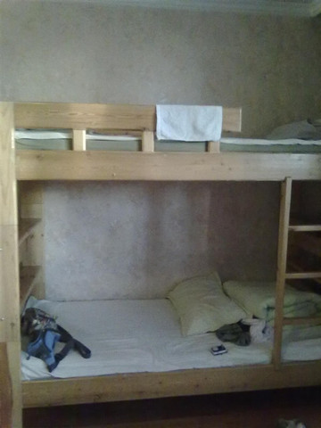 白桦林国际青年旅舍主图