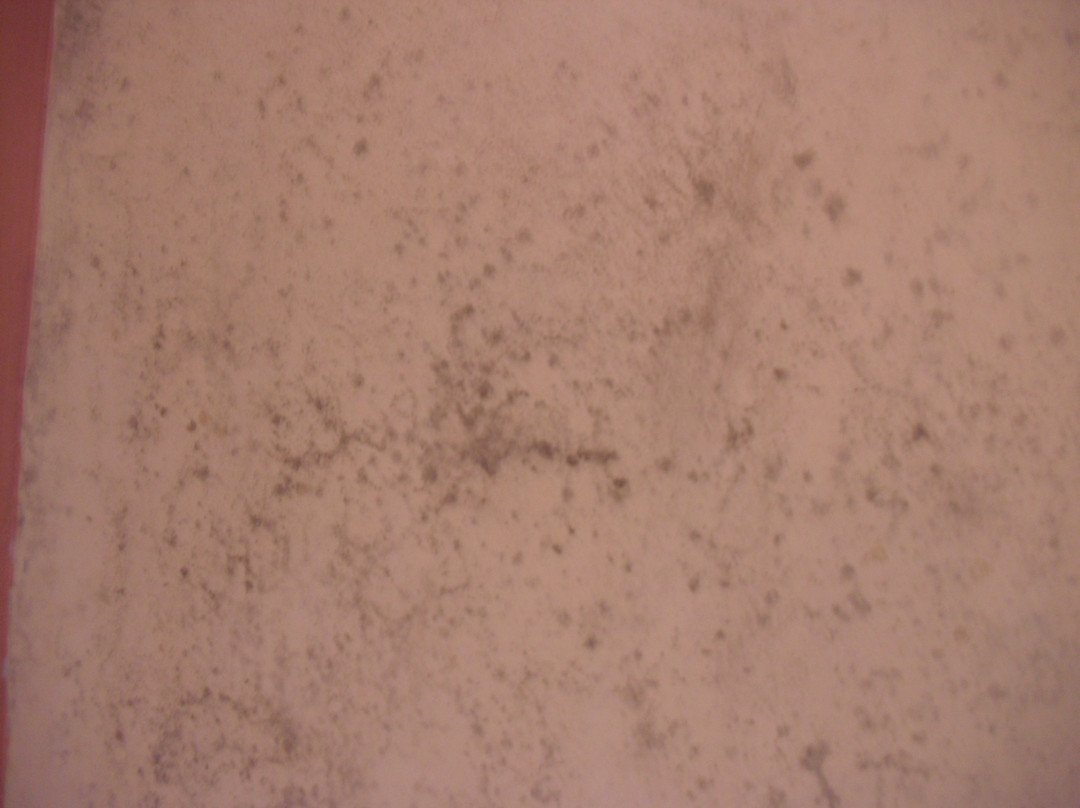 如家酒店·neo(汉中中心广场北大街店)主图