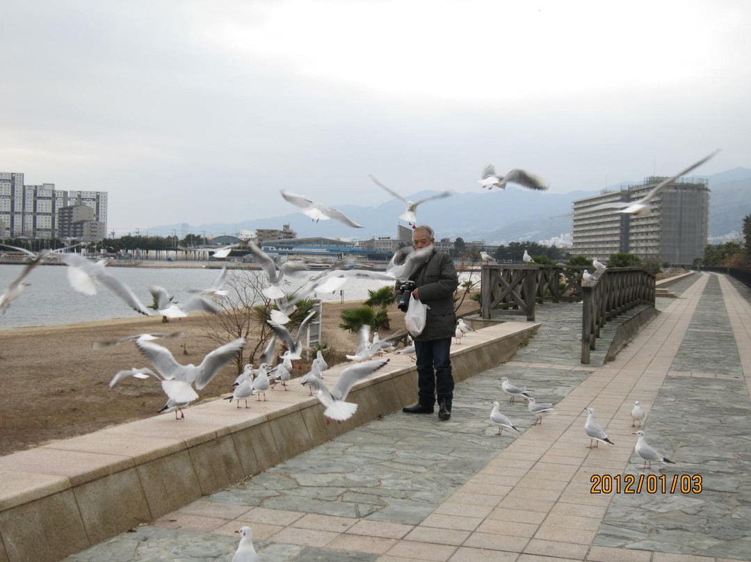 Omae Beach Park-西宫市必去景点