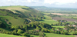 Singleton酒店住宿-Orchard House B&B