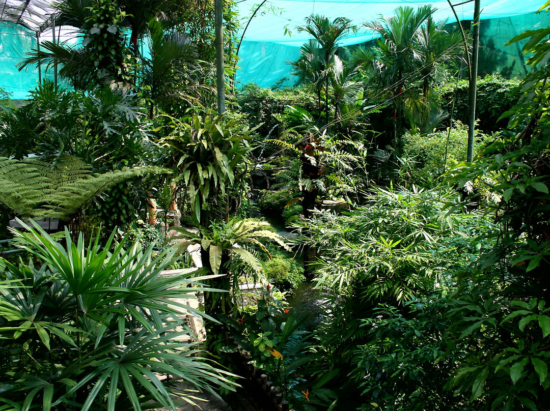 蝴蝶公园-吉隆坡必去景点