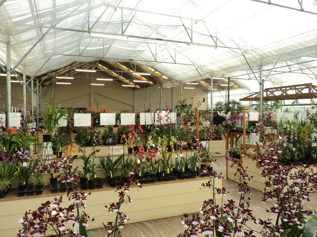 阿卡祖卡兰花园-火山必去景点