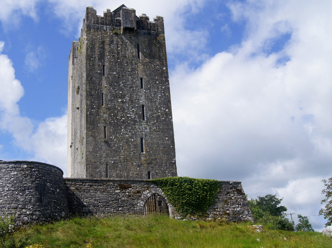 Ballyportry Castle