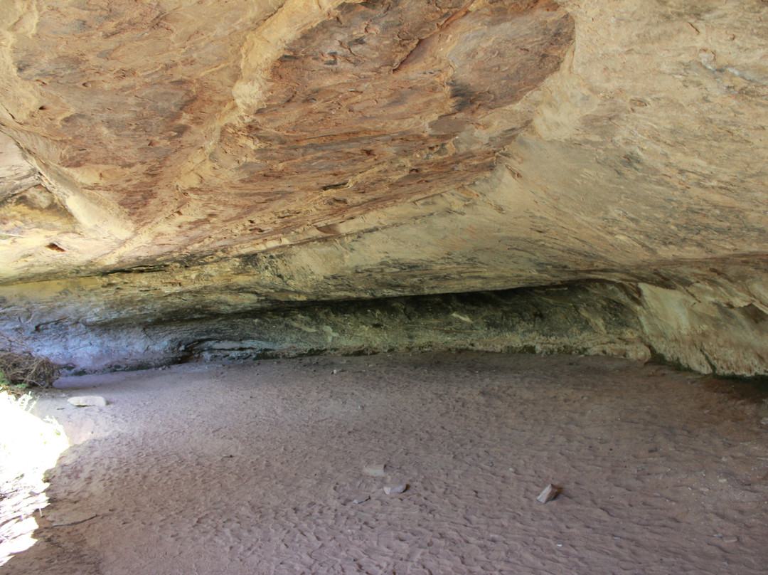 Cave Spring-峡谷地国家公园必去景点