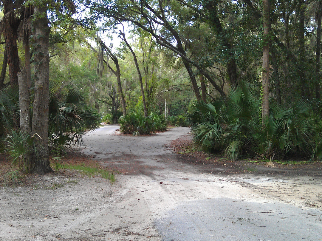 Kathryn Abbey Hanna Park-杰克逊维尔必去景点