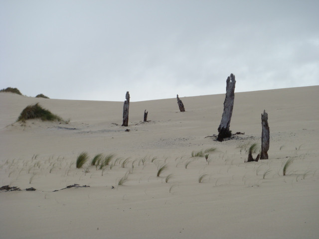 Pemberton Discovery Tours-彭伯顿必去景点