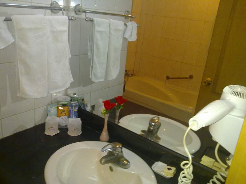 明珠大酒店主图