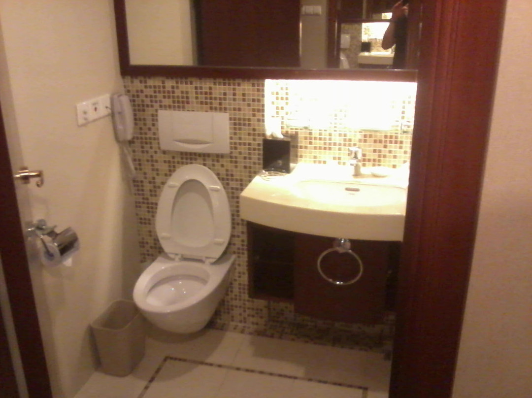 巴黎半岛酒店主图