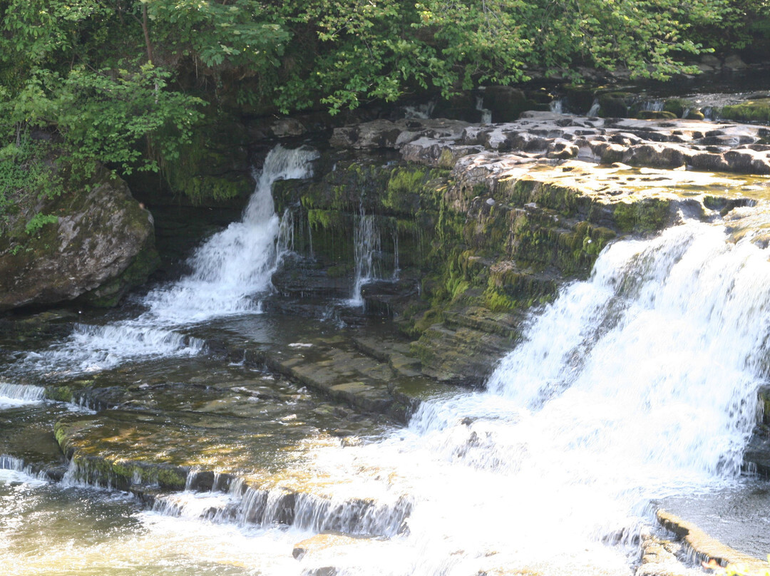 Aysgarth Falls景点图片