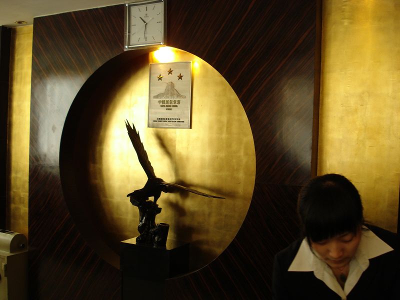 飘鹰大酒店-客卧