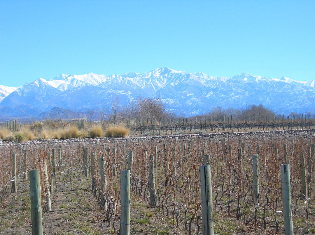 Ampora Wine Tours-门多萨必去景点