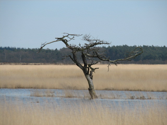 De Hoge Veluwe National Park景点图片