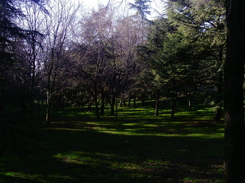 Parque La Quinta de los Molinos-马德里必去景点