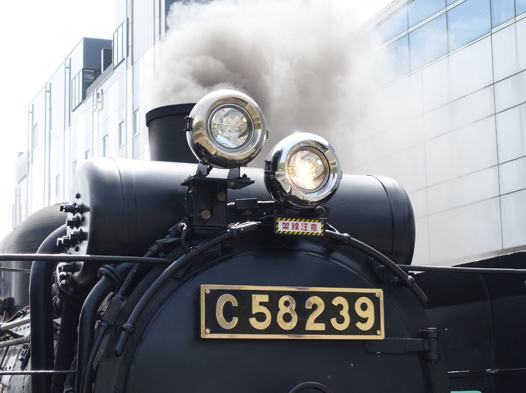 Kamaishi Railway Line-岩手县必去景点