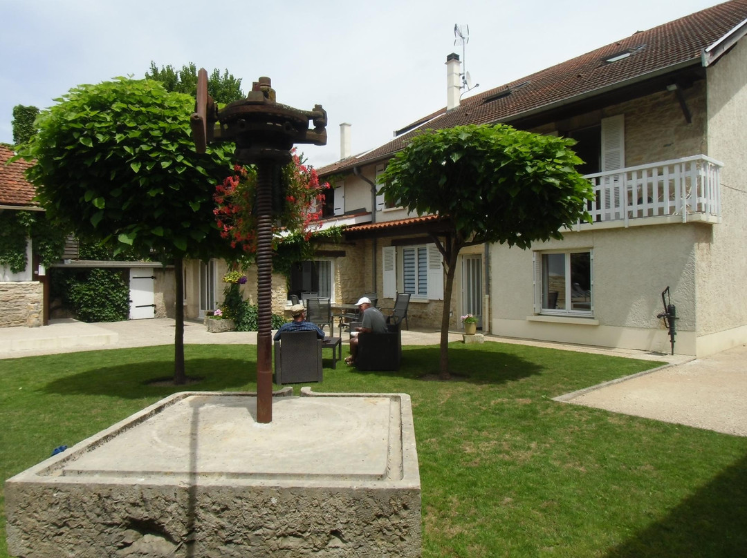 Saint-Savin旅游攻略图片