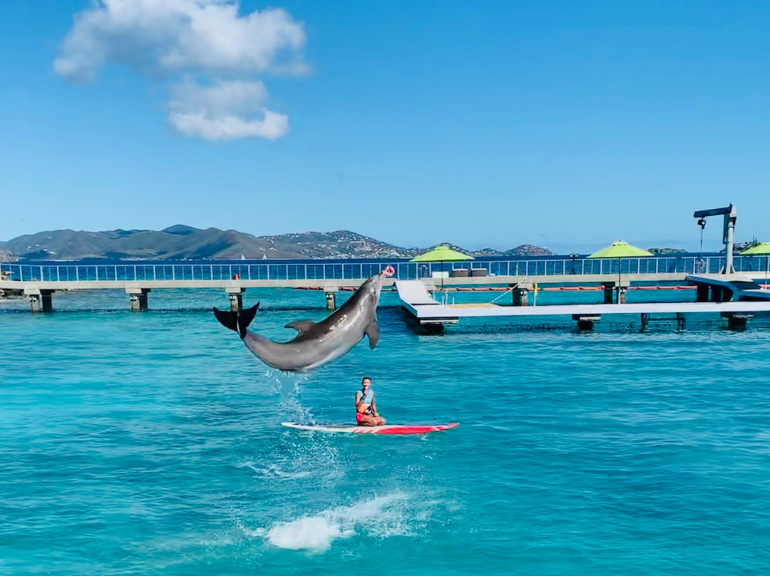 Coral World Ocean Park