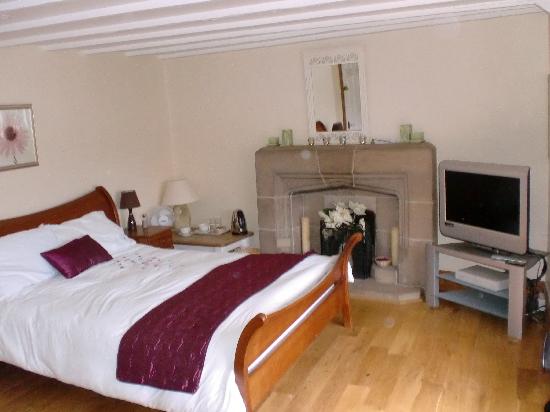 Felingog Bed and Breakfast-客卧