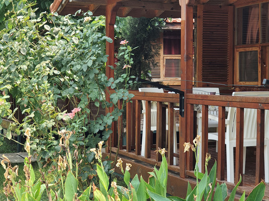 Çirali Natural Li̇fe Bungalows Hotel