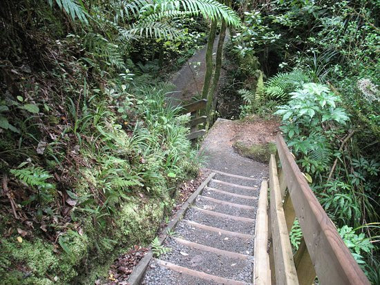 Waterworks Walk-Ngaruawahia必去景点