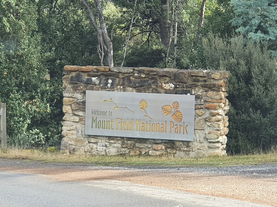 Mount Field National Park Visitor Centre景点图片