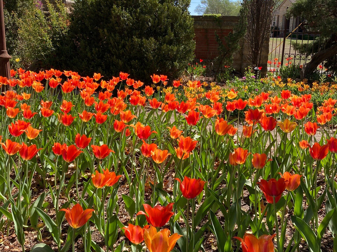 Bartlett Arboretum-Belle Plaine必去景点