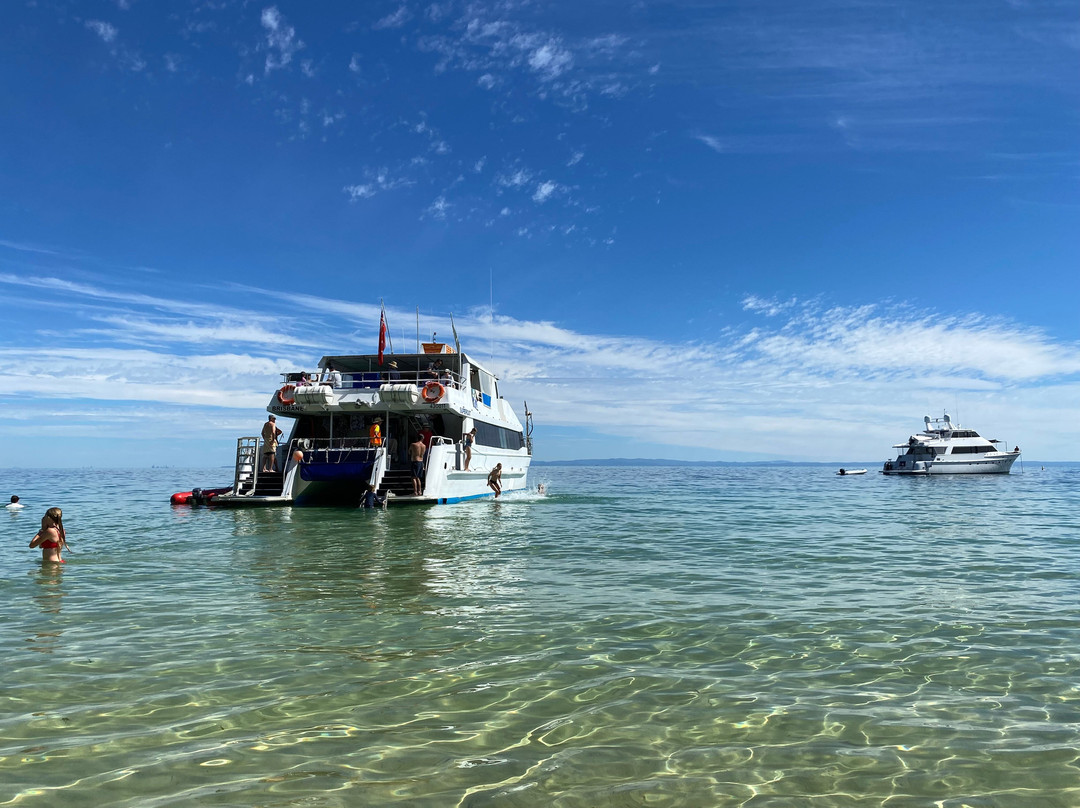 Dolphin Wild Island Cruises景点图片