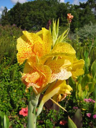 库拉植物园-库拉必去景点