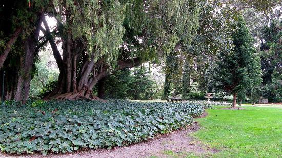 科摩古屋及花园-South Yarra必去景点