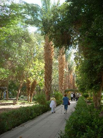 Aswan Botanical Garden-亚斯文必去景点