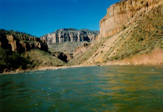 Wilderness Aware Rafting-布埃纳维斯塔必去景点