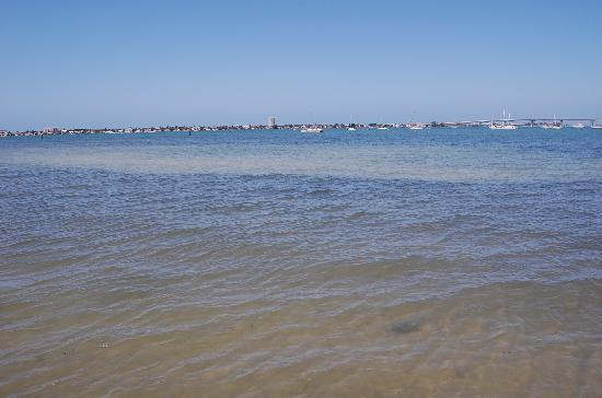 Marie Selby Botanical Gardens-萨拉索塔必去景点