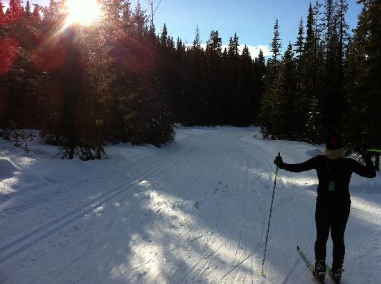 Caledonia Nordic Ski Club景点图片