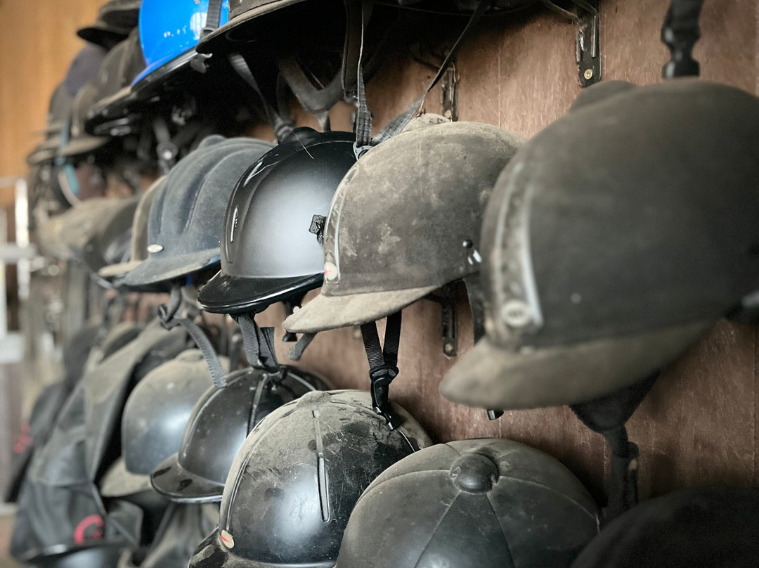 Lysuholl Short Rides-Snaefellsbaer必去景点