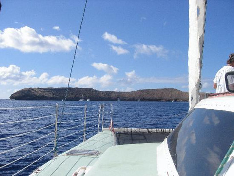 Sail Maui-拉海纳必去景点