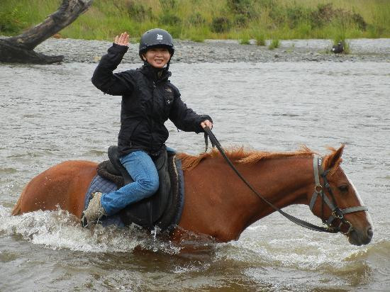 Punakaiki Horse Treks景点图片
