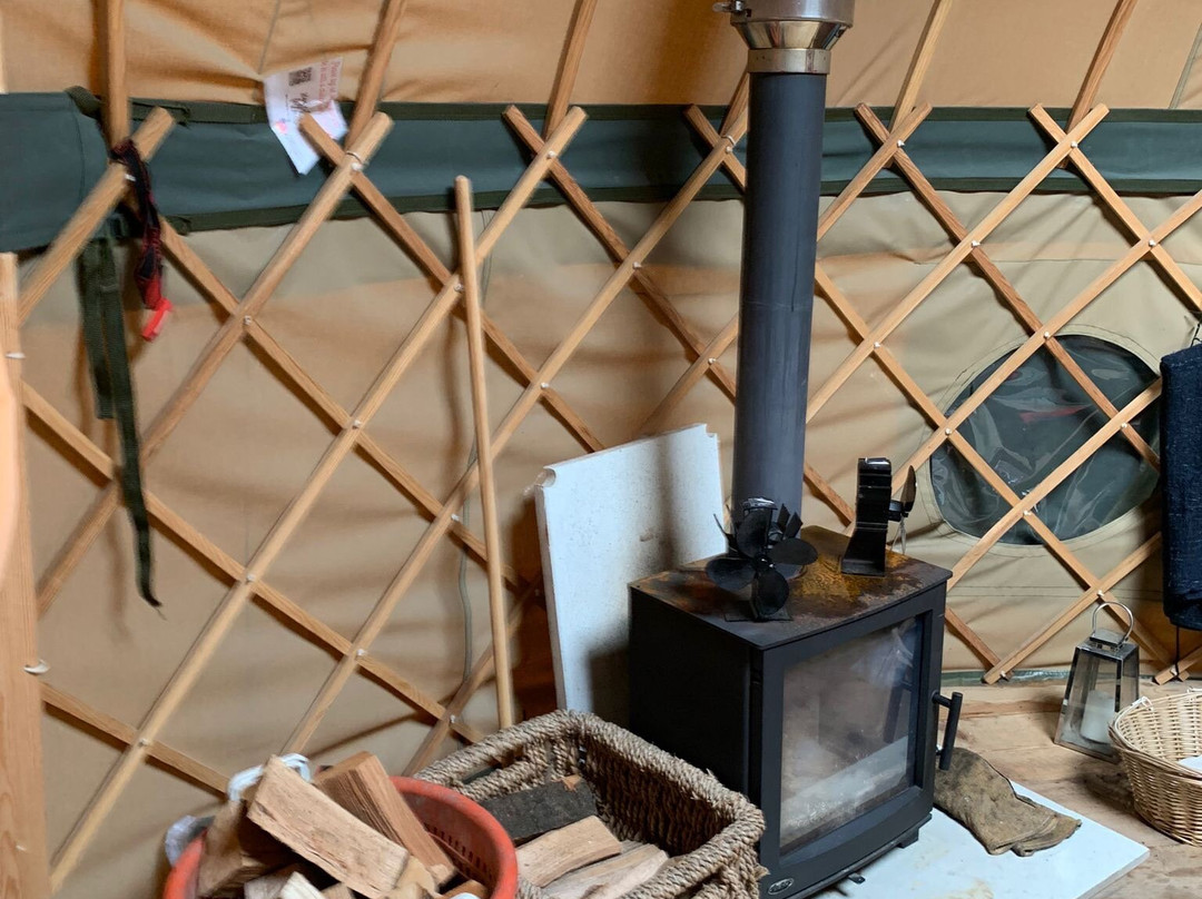 Willowtree Glamping