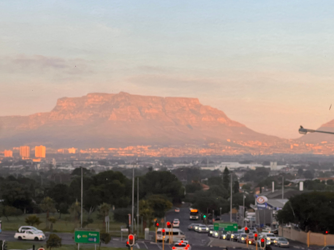 Paperbark Manor主图