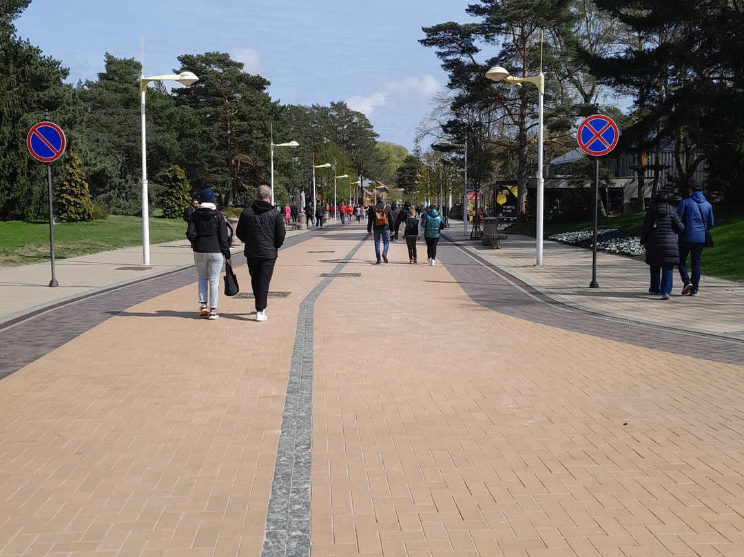 Jonas Basanavičius Street-帕兰加必去景点