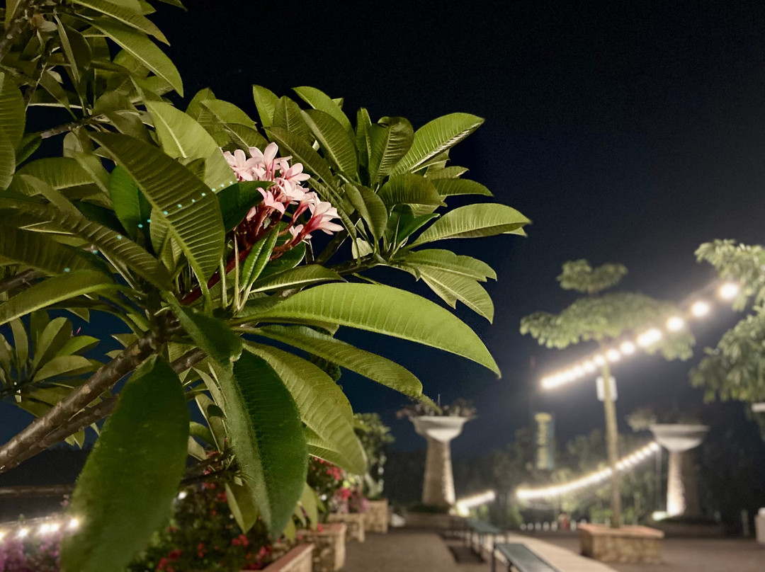 Bukit Aslan - Wisata Alam-班达楠榜必去景点