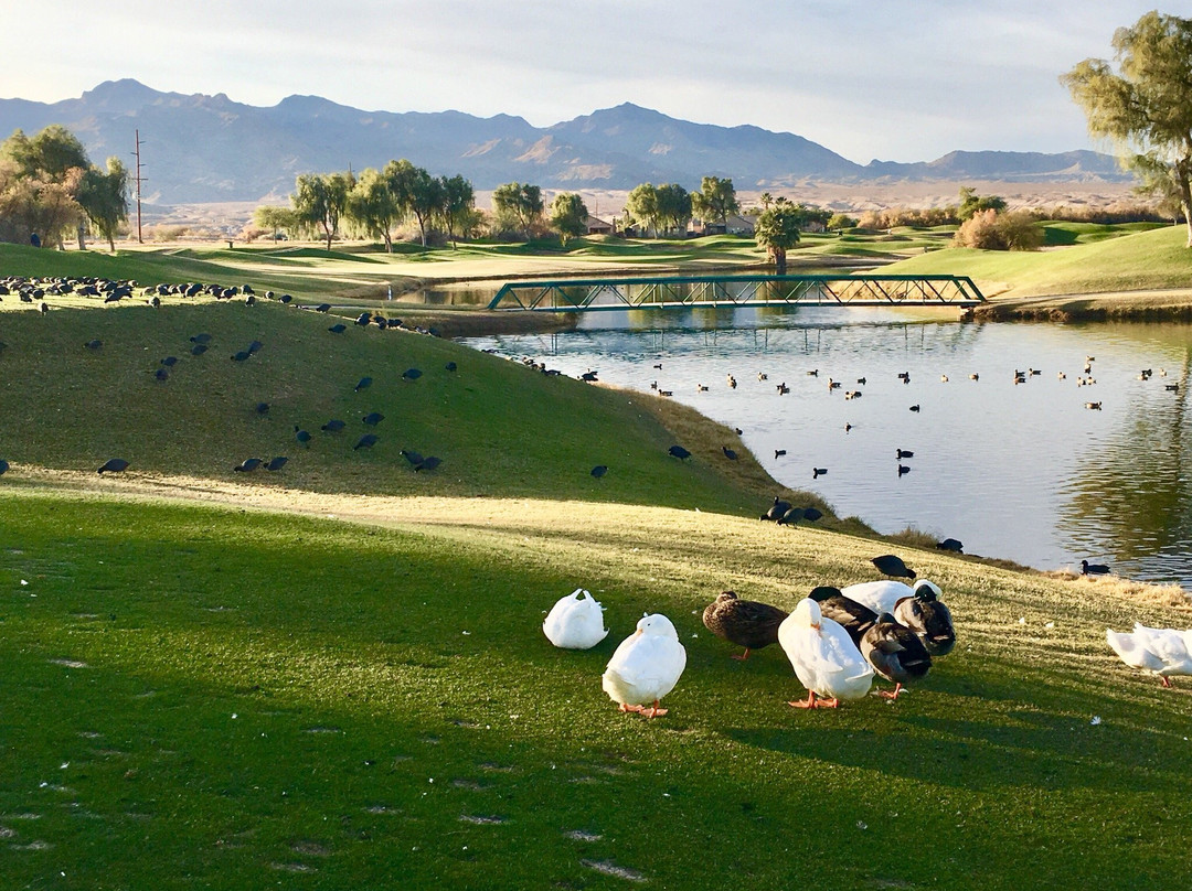 Mojave Resort Golf Club-拉芙琳必去景点