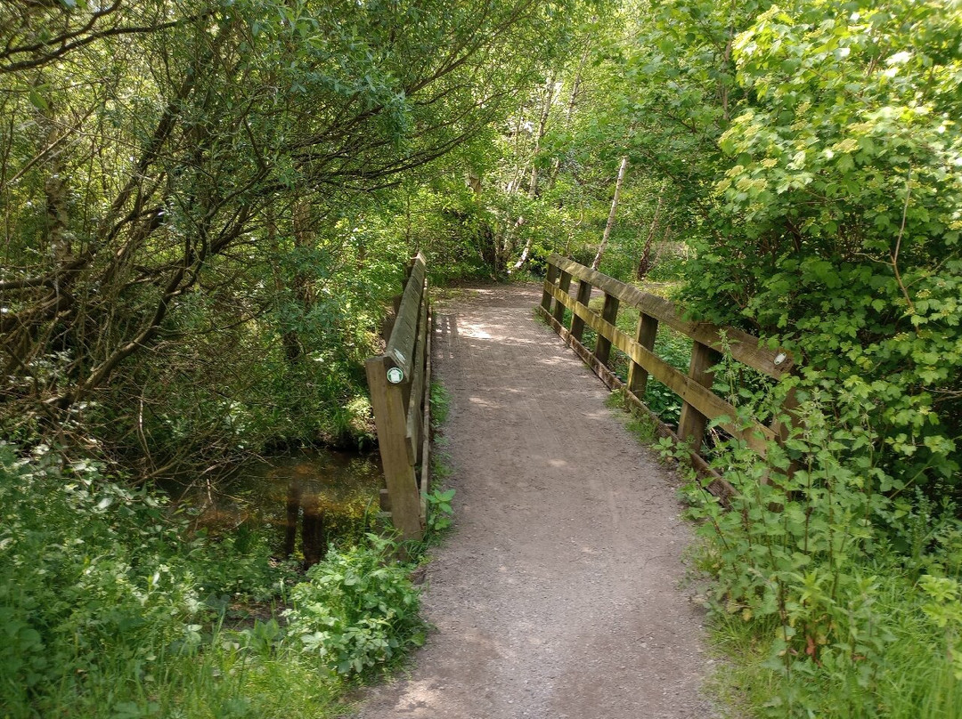 Walton Colliery Nature Park景点图片