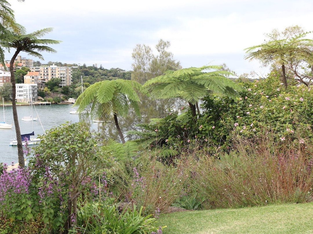 Cremorne Reserve景点图片