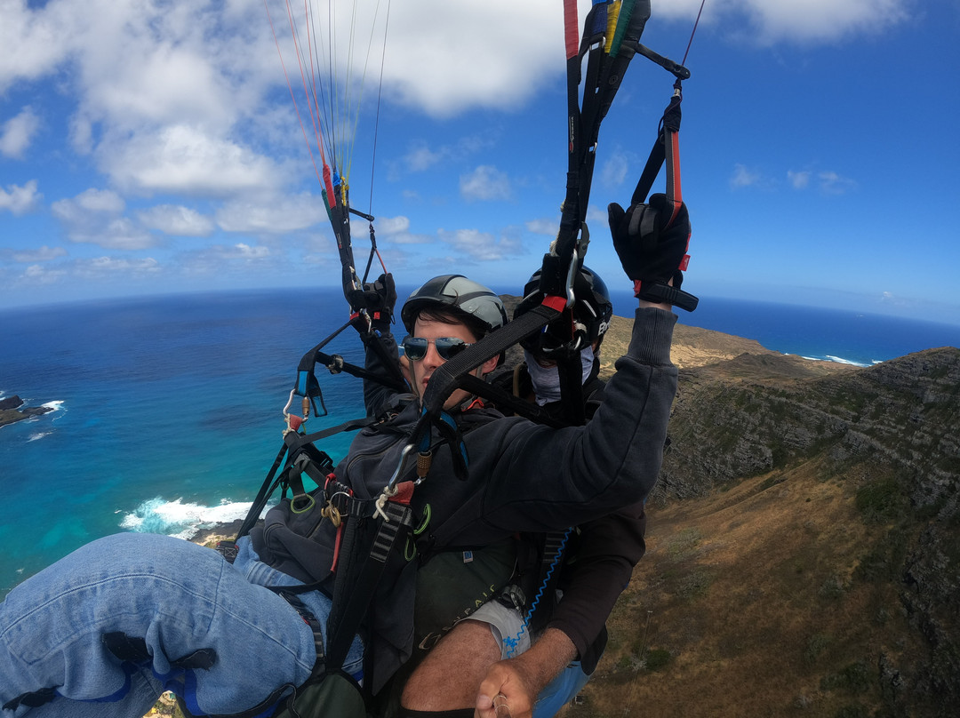 O'ahu Hawaii Tandem Paragliding-威玛纳诺必去景点
